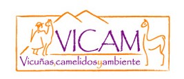 VICAM. Vicuñas Camelidos y Ambiente. CONICET